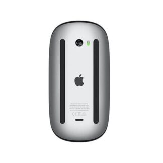 RATON APPLE MAGIC MOUSE BLACK